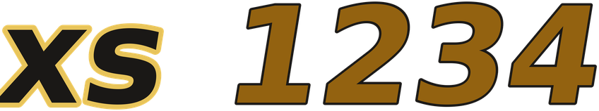 xs 1234 logo